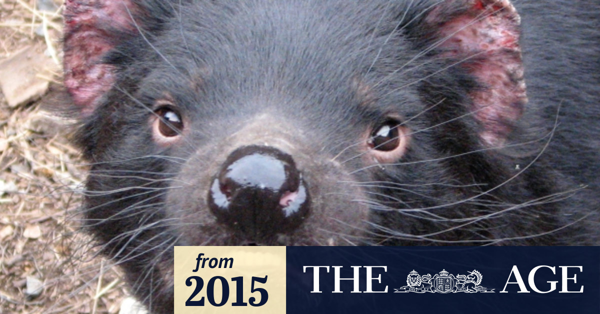 Can you pass the National Geographic Kids quiz?